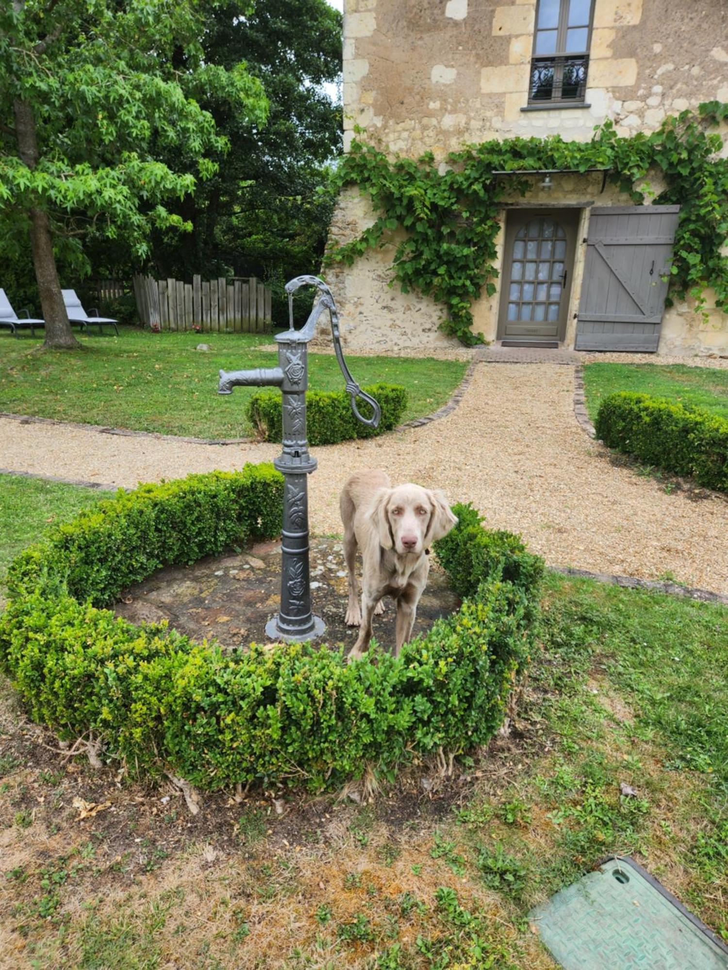 La Tour Du Grand Boust Villa Longué Esterno foto